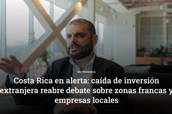 imagen-noticia-delfino