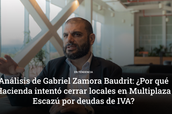 imagen-entrevista-delfino
